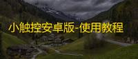 小触控安卓版-使用教程 v2.2.9